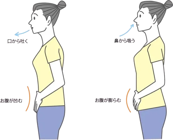 腹圧をかける方法を解説しているイラスト