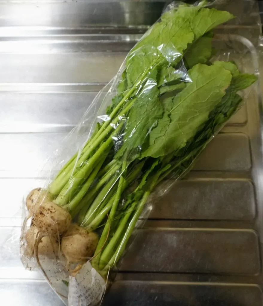 無農薬野菜ミレー　カブ 