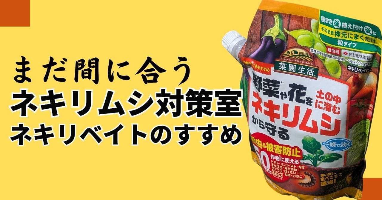 第35回　ネキリムシ　アイキャッチ