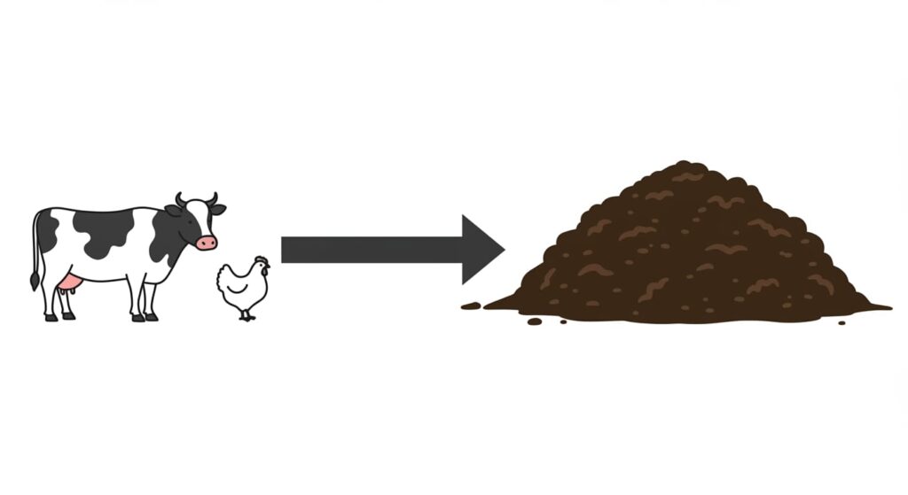 動物性堆肥は、家畜の糞尿が原料