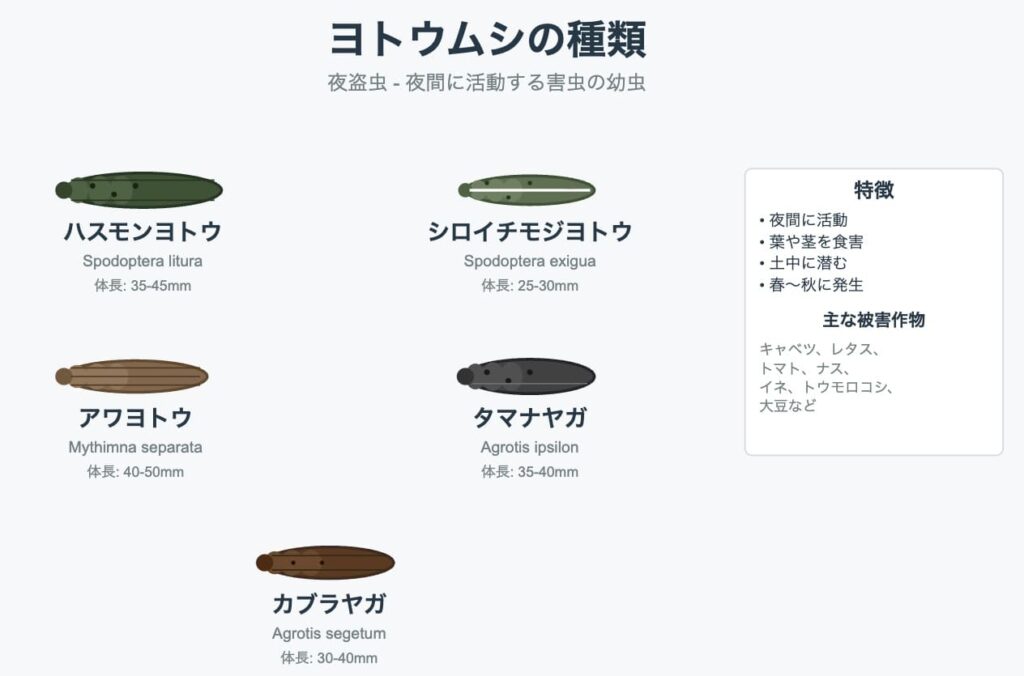 ヨトウムシと呼ばれる幼虫たち一覧