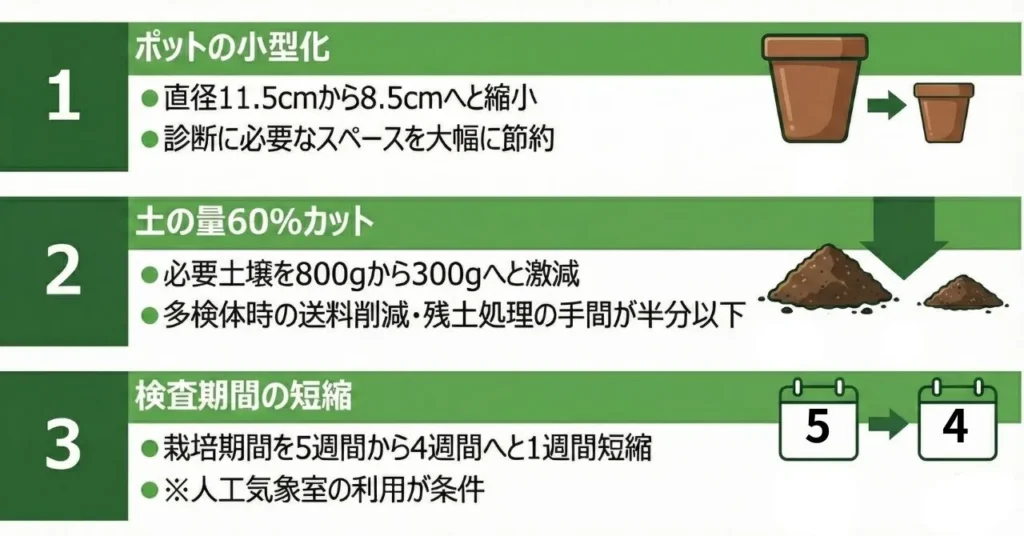 ヘソディム 図解