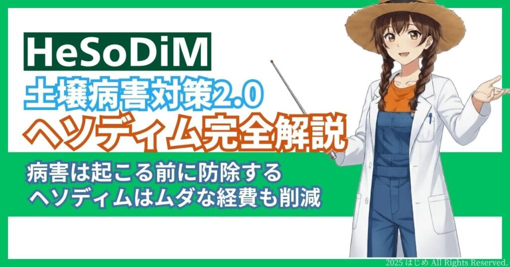 ヘソディム アイキャッチ