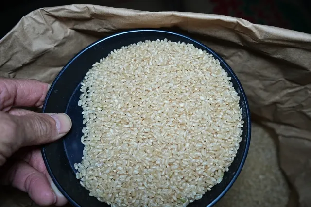 米の等級検査で実際に使用される専用の皿（カルトン）と玄米