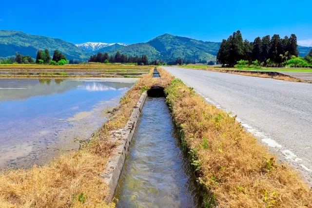 田んぼに設置された水路と暗渠（地下排水設備）