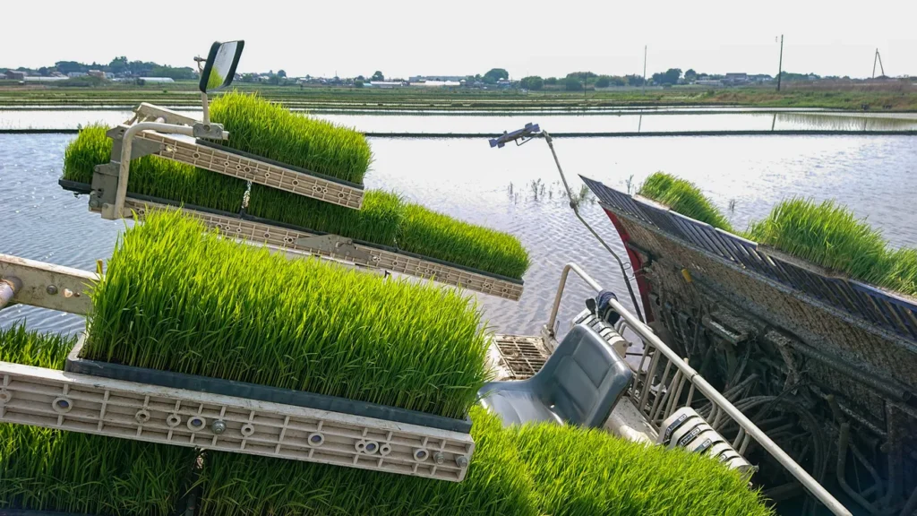 田んぼのぬかるみにハマって抜け出せなくなった田植え機