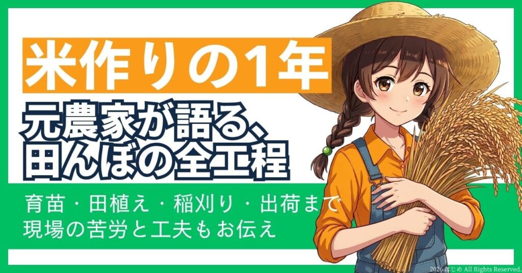 苗作りから収穫まで、米作りの全工程を網羅した解説記事のアイキャッチ画像