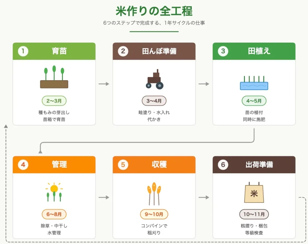 米作りの工程を表したフローチャート