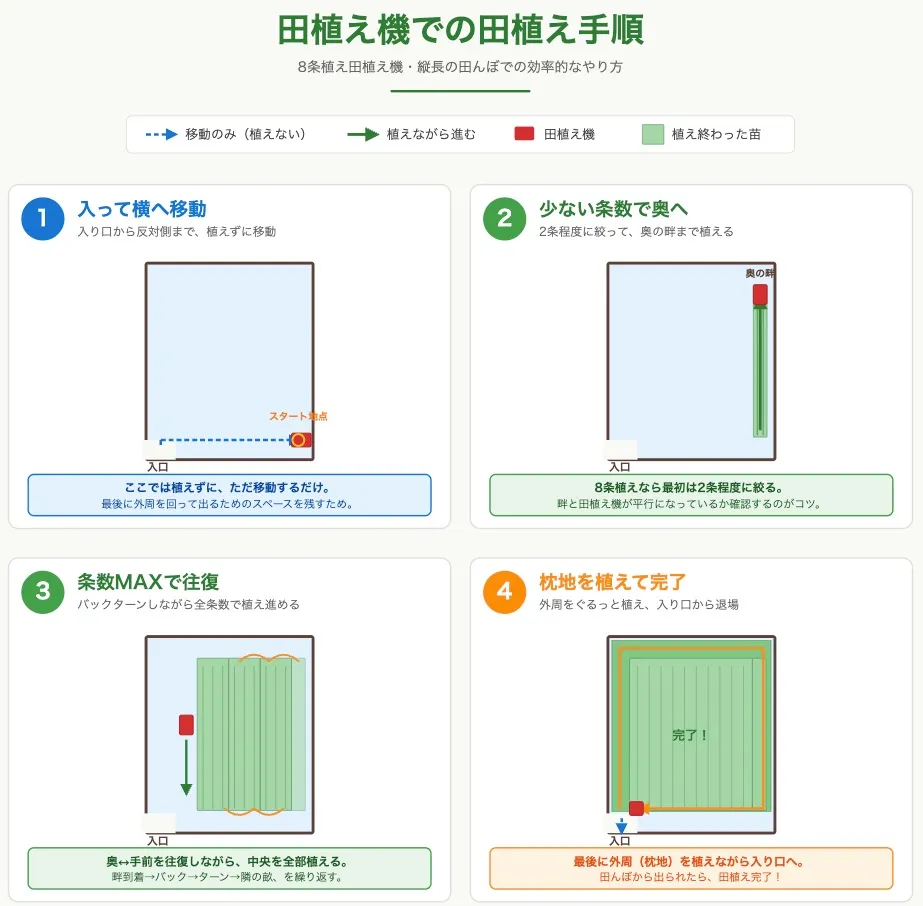 田植えの一連の流れを解説した図解イラスト