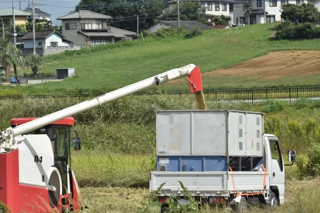 収穫した籾をコンテナに入れて運搬するトラック