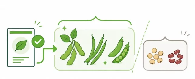 登録品目にある「〇〇類」が分かりにくい…具体的にはどの作物まで指しているの？小見出しイラスト
