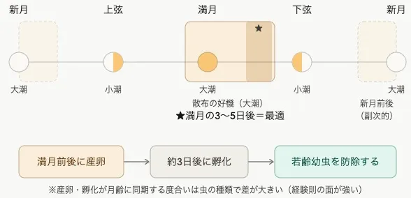 月齢　防除　イラスト